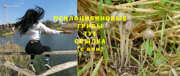 шишки Абдулино