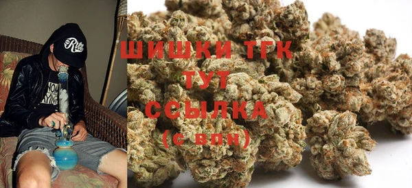 стаф Абинск