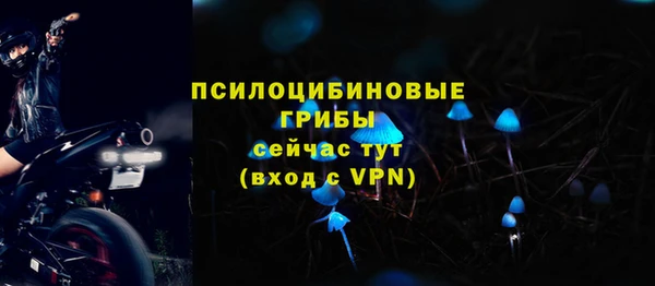гашик Абаза