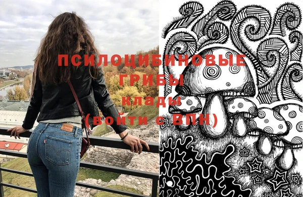 стаф Абинск