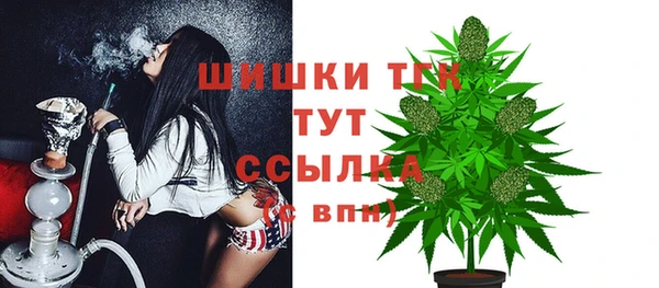 гашик Абаза
