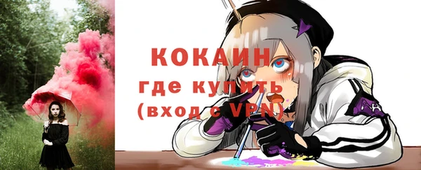 стафф Алексин