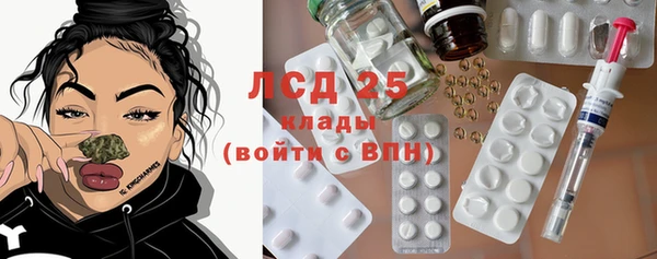стаф Абинск